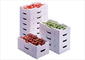 Verduras y Cajas de Frutas