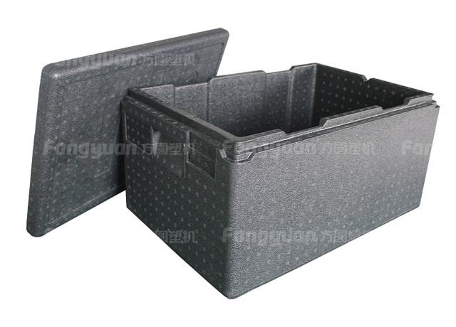 EPP Insulated Box